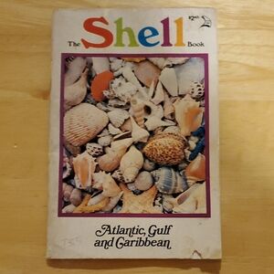 Colorful Shell Book